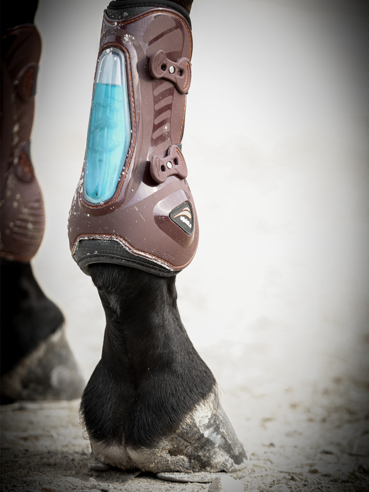 addestramento-cavalli-sportivi