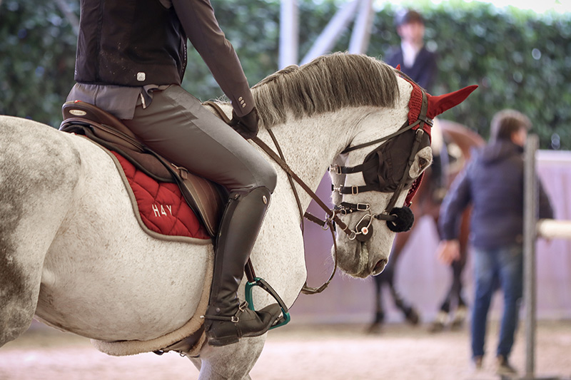 cavalli-sportivi-scuderia