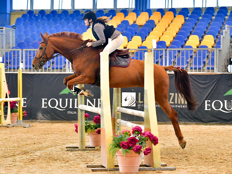 horse-for-you-scuderia