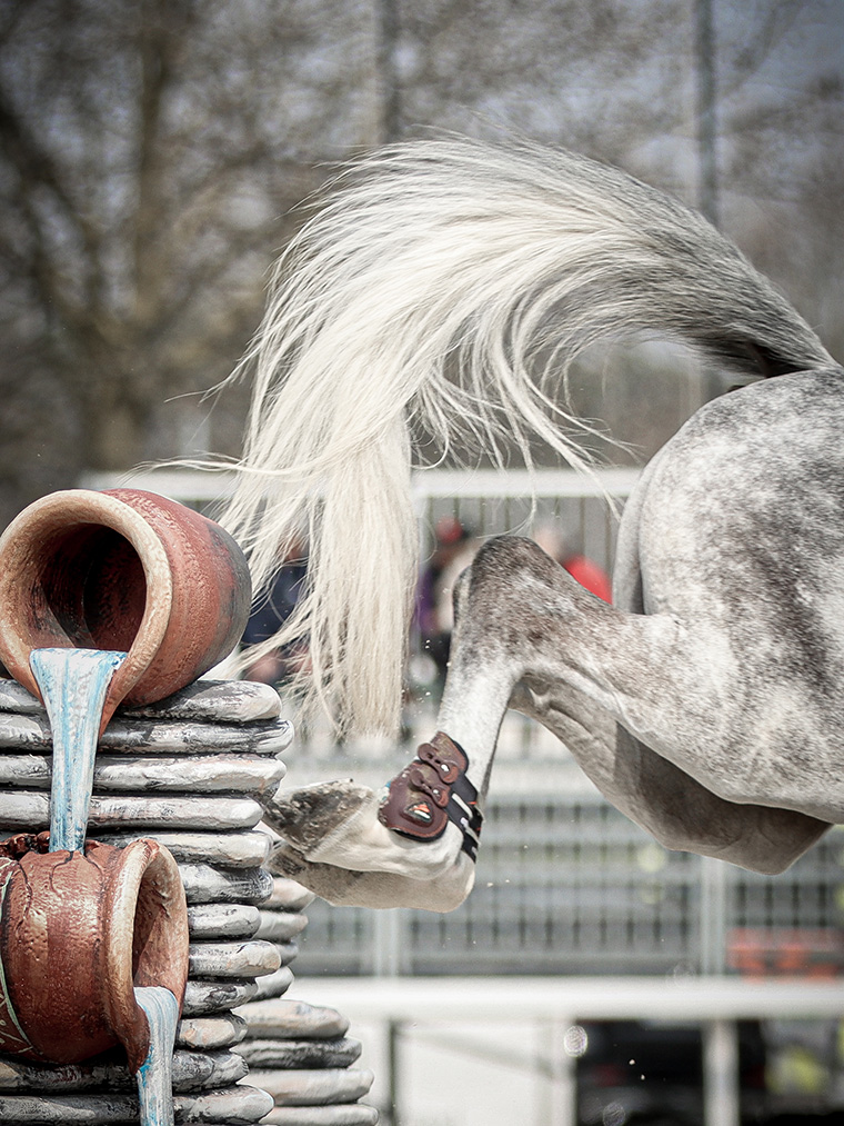 preparazione-atletica-cavalli-sport